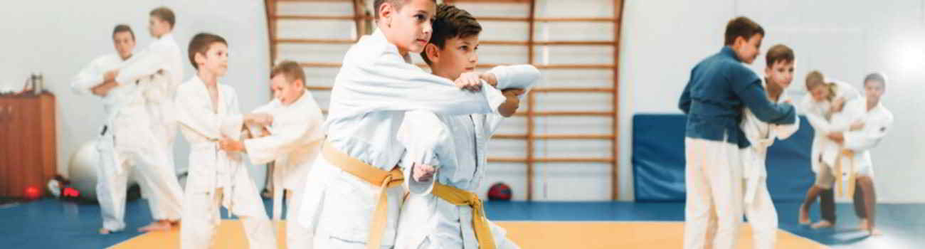 Judoanzüge für Training und Einsteiger